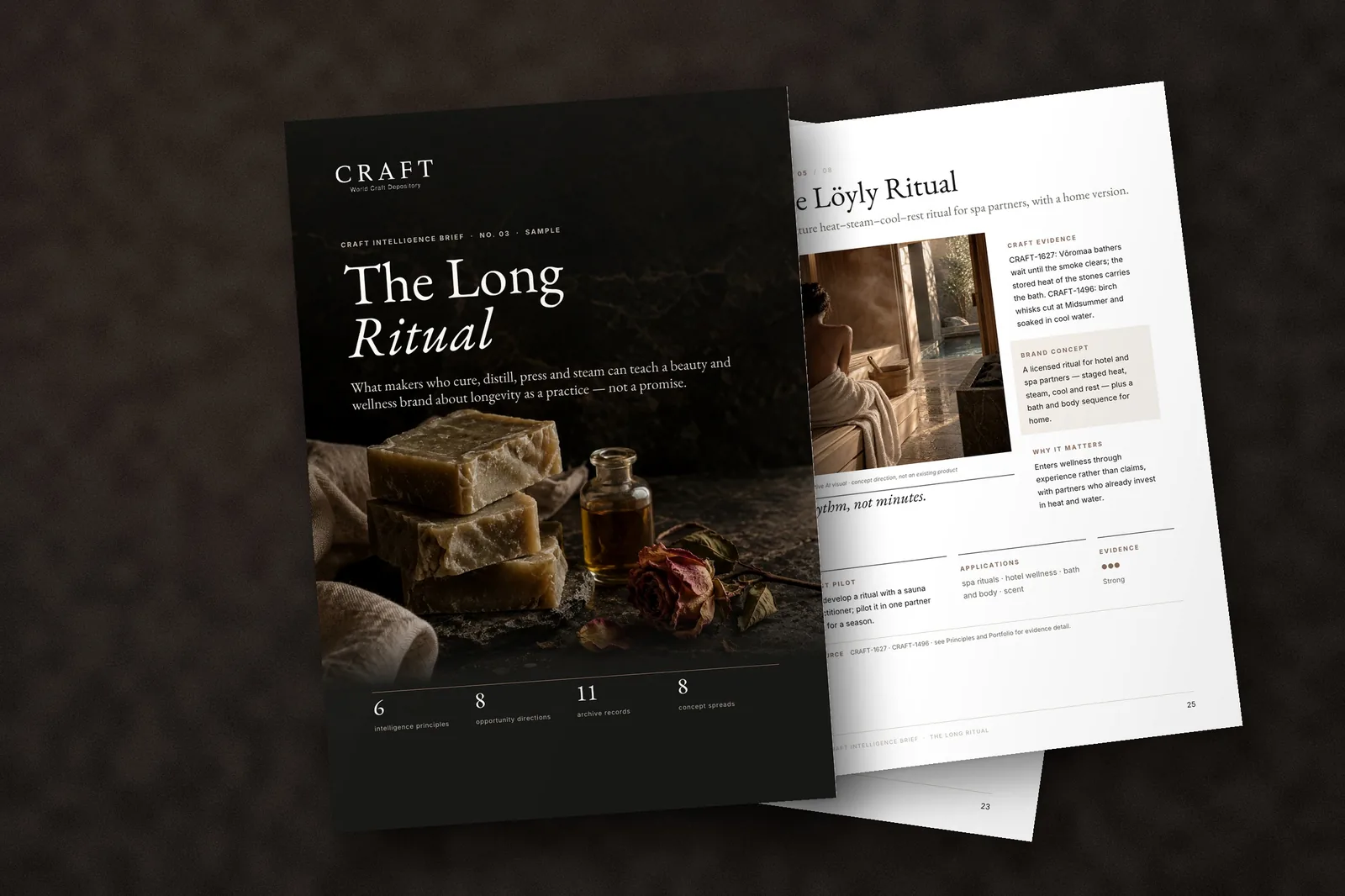 Cover of the sample CRAFT Intelligence Brief 03: The Long Ritual