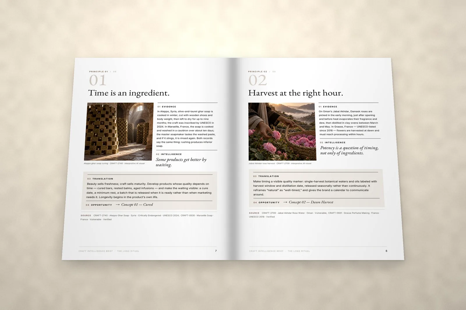 Concept spread from the sample brief The Long Ritual